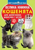 Велика книжка. Кошенята — Олег Завʼязкін, фото 3