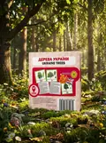 Дерева України, обкладинка