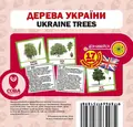 Дерева України, фото 3