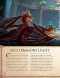World of Warcraft. The Dragonflight Codex — Сандра Роснер, фото 6