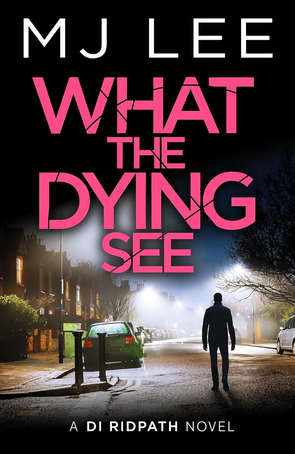 What the Dying See