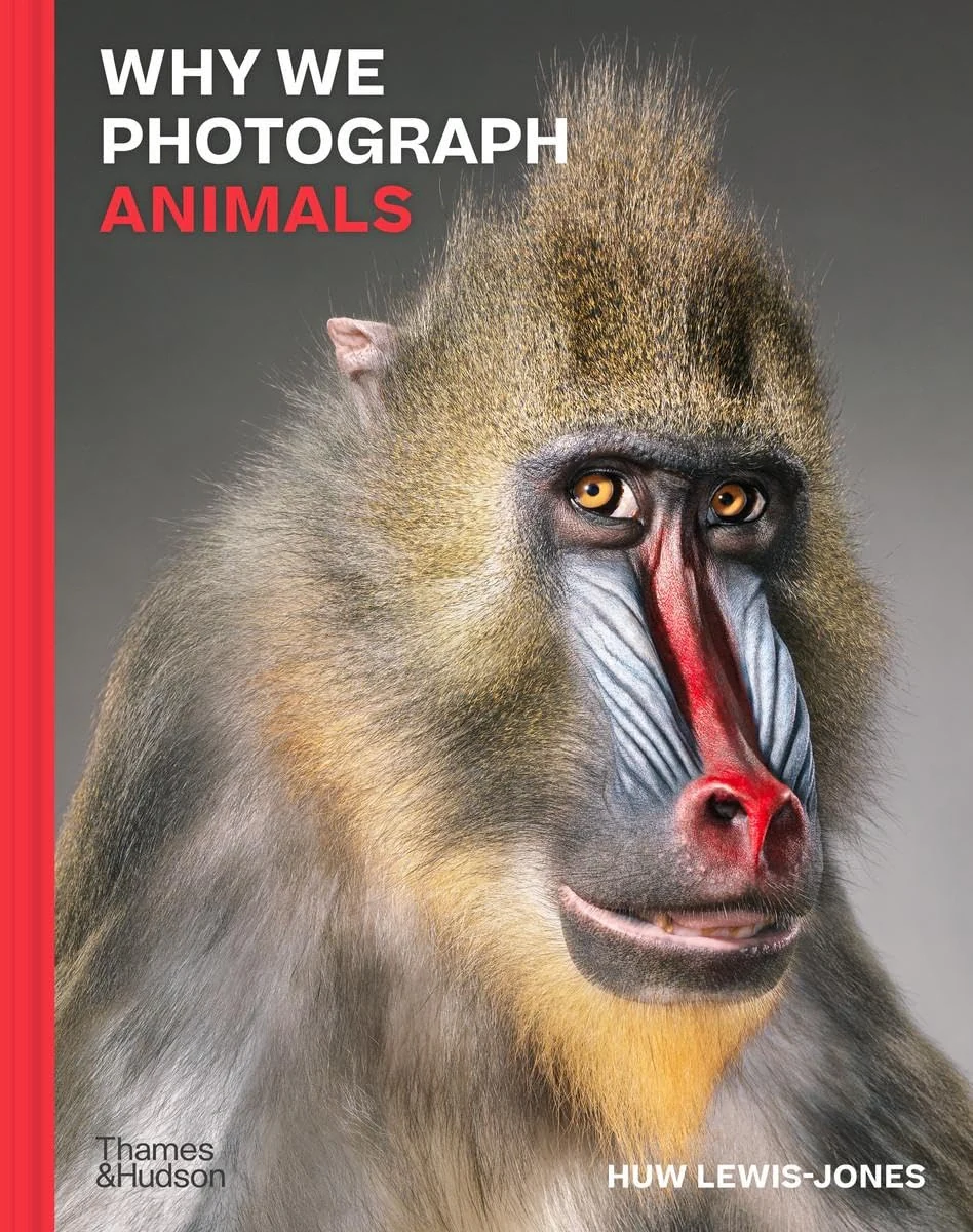 Why We Photograph Animals, Х'ю Льюїс-Джонс
