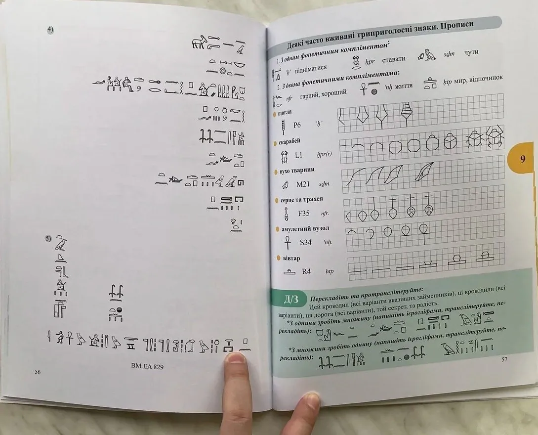 Workbook. Початковий курс середньоєгипетської мови — Микита Самсоненко, фото 6