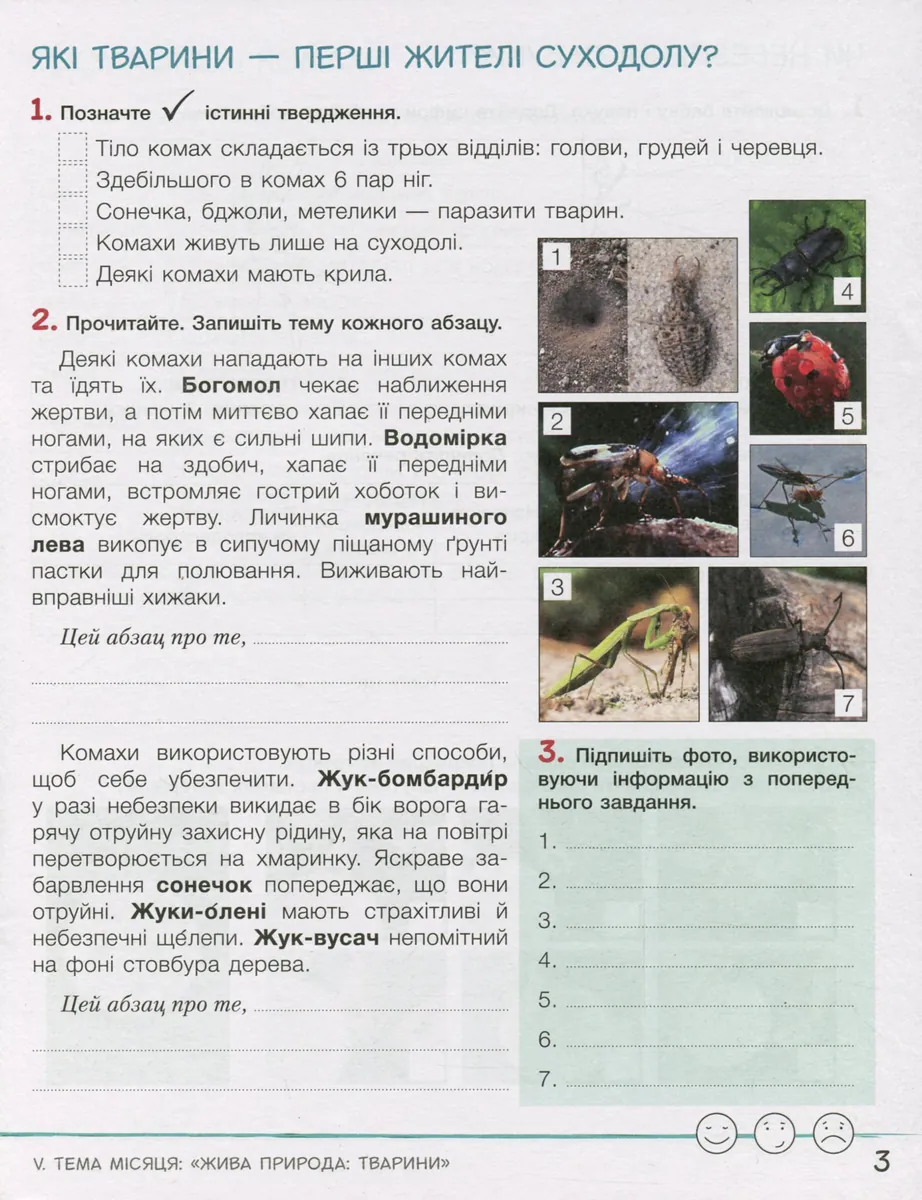 Зошит дослідника. 3 клас. Частина 2. До підручника Іщенко О. Л. та ін. — Андрій Іщенко, фото 6