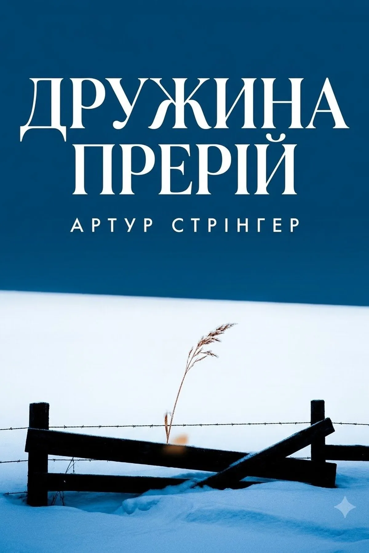 Дружина прерій