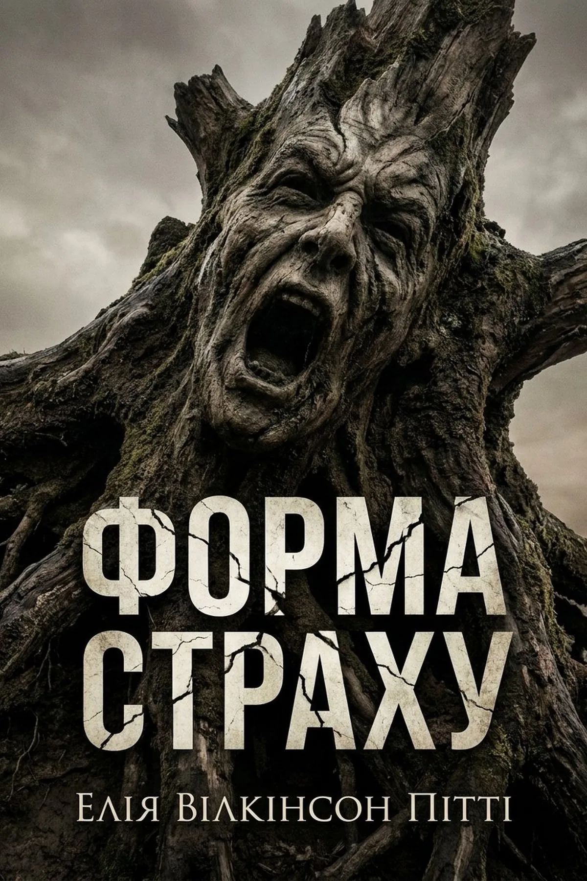 Форма страху — Елія Вілкінсон Пітті, обкладинка